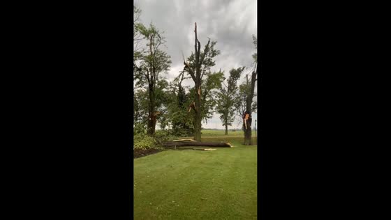 Tornado damage knocks down trees and power in West Perth, Australia