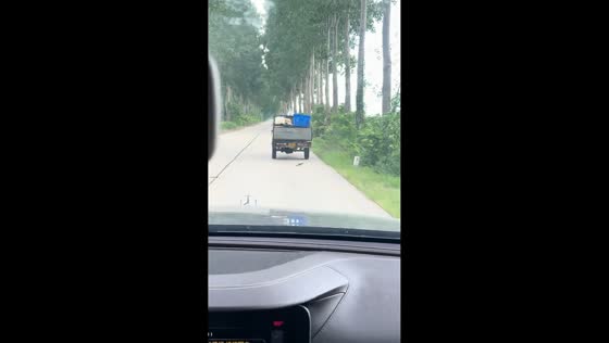 Fish jump from moving truck on rural road in Jiangsu, China