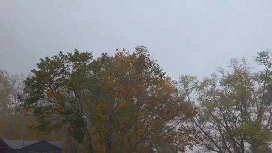 Autumn storm brings heavy rain and strong winds to Finleyville, USA