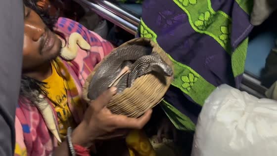 Threatens by snake to collect money in Varanasi, India