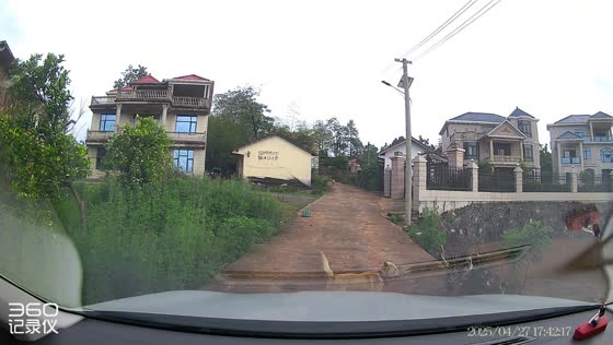 Dog clears road of ducks for car to pass in Hunan, China