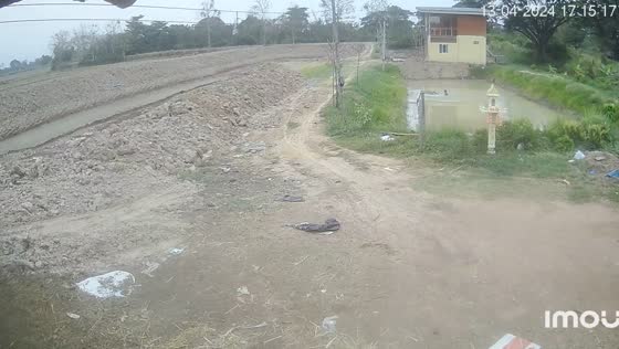 Motorcycle mishap: rider takes dive into pond