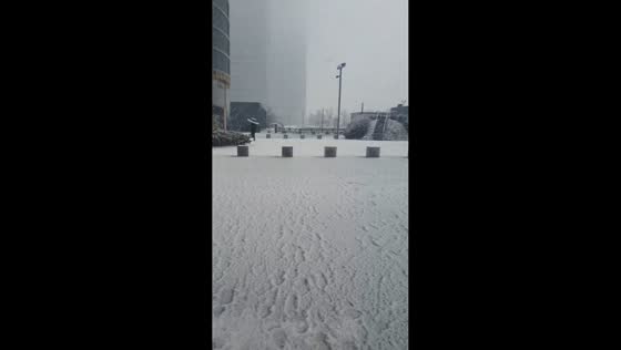 Heavy snowfall blankets Cuatro Torres Business Area in Madrid, Spain
