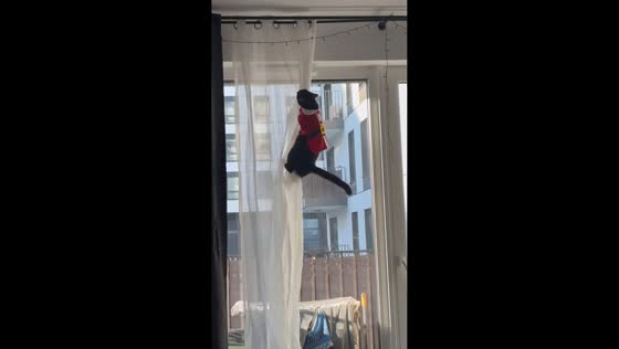 Cat in Santa outfit climbs and falls from curtain in Warsaw, Poland