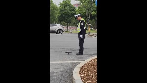 Traffic officer playfully guides curious crow in Hunan, China