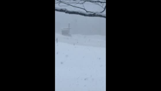 Heavy lake-effect snow creates near-whiteout conditions in Altmar, New York, USA