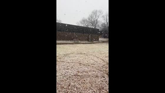 Winter's embrace: Old North St. Louis blanketed in snowfall