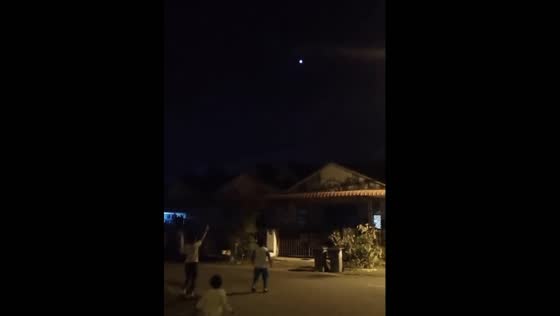 When Toys Fly Away: The Unexpected Consequence of the Flynova Fro in Malaysia