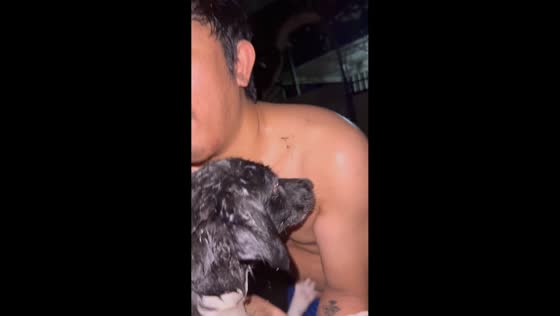 Pets rescued during flood evacuation in Fairview, Quezon City, Philippines