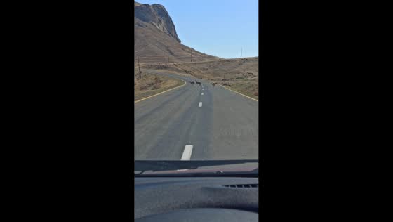 Antelope herd crossing the road in Nakhchivan, Azerbaijan