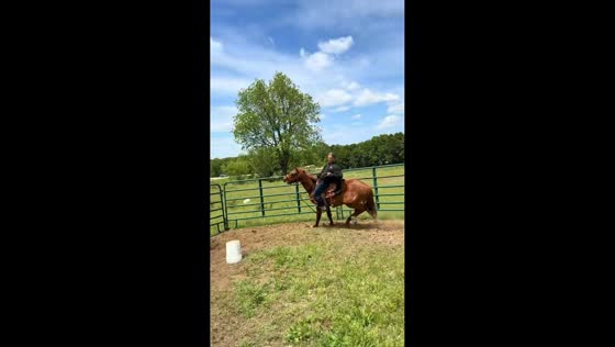 Man falls off horse during riding attempt in Oklahoma, USA