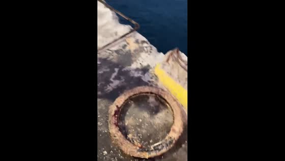 Fishing trip ends with unexpected bicycle tire catch in Indonesia