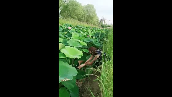 Woman falls in mud during failed plant-picking in Henan, China