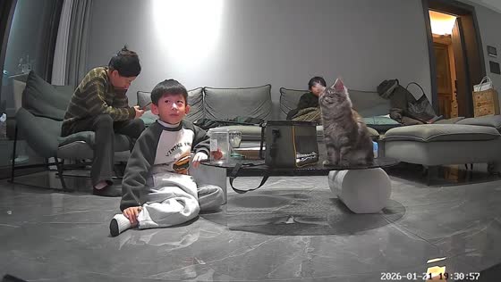 Sneezing cat surprises family in living room in Guangdong, China
