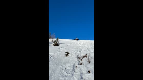 Husky collides with skier on snowy slopes in Passo del Tonale, Italy
