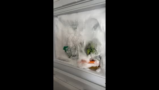 Fridge freezer in Valencia completely frozen over