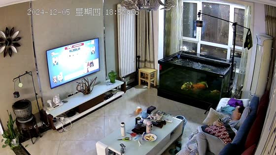 Fish jumps out of aquarium in unexpected mishap – Tianjin, China