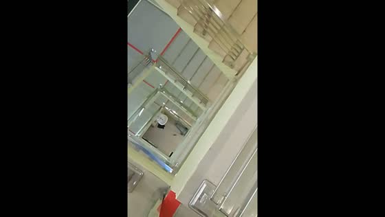 Mouse survives fall from multiple floors in North Sumatra, Indonesia