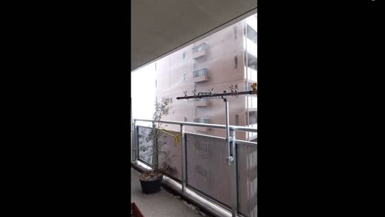 Tokyo's sideways rain: nature's dance of wind and water
