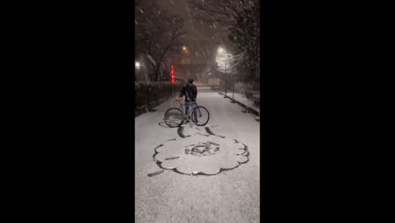 Winter blossoms: creative snowflower artistry in Seoul