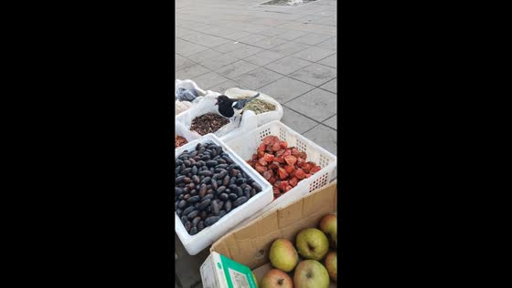 Mischievous magpie tries to steal silkworm pupae in Liaoning, China