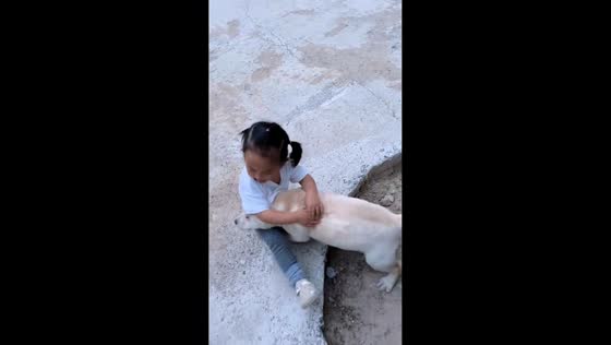 Little girl rescues trapped dog from pit in Henan, China