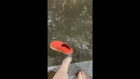  Playful fun turns into unexpected adventure in Argentina floods as shoe gets carried away