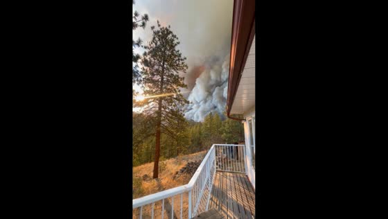 Bald Range wildfire rages out of control in Summerland, Canada