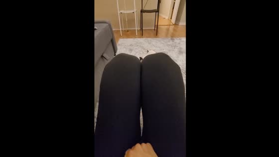 Feline fun in Toronto: Mikki the cat's adorable leaps in response to owner's gestures