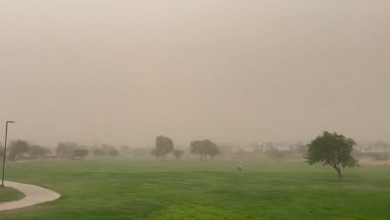 Severe dust storm sweeps Phoenix, Arizona