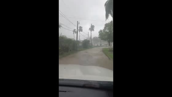 Steady rain and strong winds hit Serge Island farms in St. Thomas, Morant Bay, Jamaica