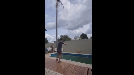 Playful pup outsmarts owner in a game of chase around the pool