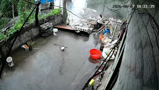Outdoor restroom roof collapses during heavy rain in Yunnan, China