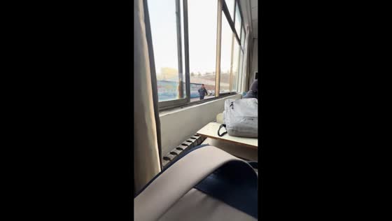 Student falls onto desk while climbing through classroom window in Shandong, China