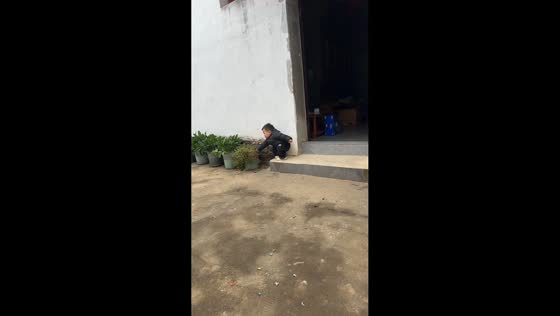 Boy tumbles after pulling plant while sitting on doorstep in Zhejiang, China