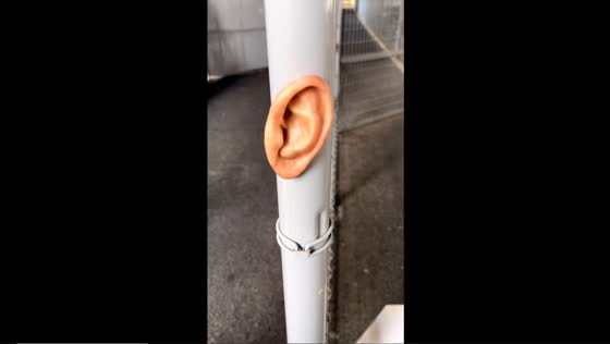 Japanese human flesh artist unveils 'crimes of the future' human-like ear magnet