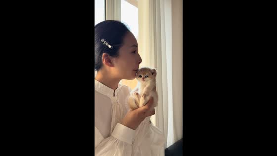 Woman gently teases Scottish Fold kitten in Jilin, China