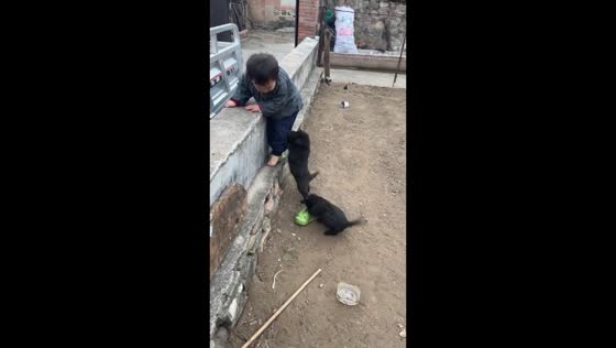 Toddler chased by puppies and loses slippers in Hebei, China