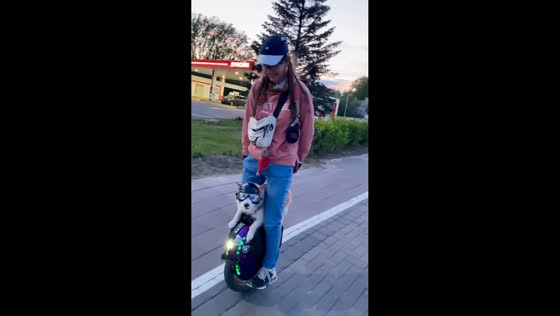 Dog wearing goggles rides electric unicycle with owner in Minsk, Belarus