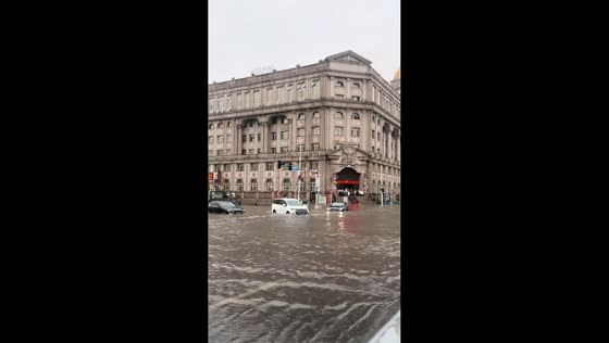 Intense rainstorm causes widespread flooding in Harbin, China