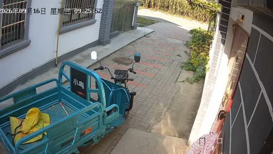 Toddler drives cargo tricycle before crashing into roadside bushes in Tianjin, China