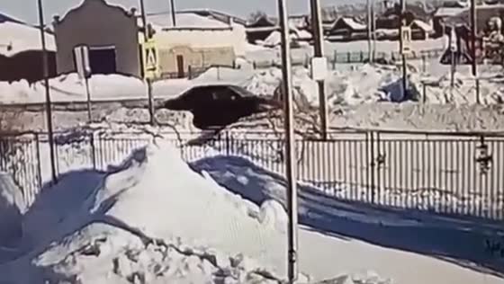 Two schoolgirls injured in pedestrian collision in Russia
