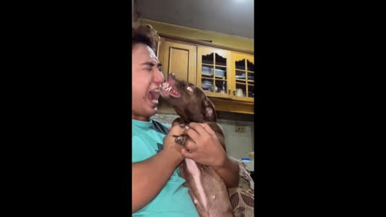 Dog bites owner's lip during playful trend attempt in Alabang, Muntinlupa City, Philippine
