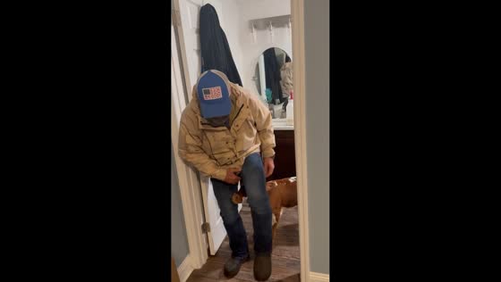 Man startled as playful calf nudges him indoors in Brooksville, Florida, USA