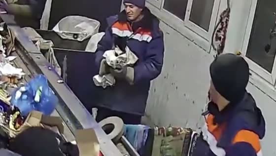 Cat rescued from conveyor at waste facility in Ulyanovsk, Russia