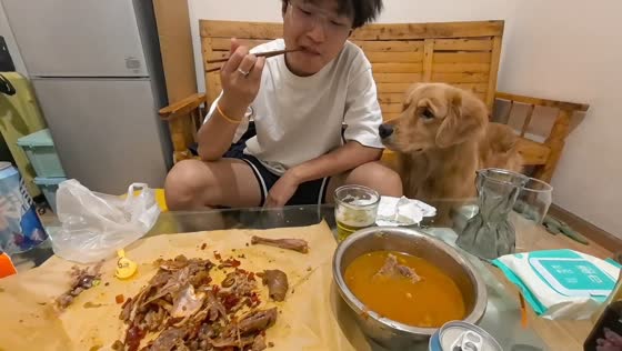 Golden retriever reacts after being teased with food in Sichuan, China
