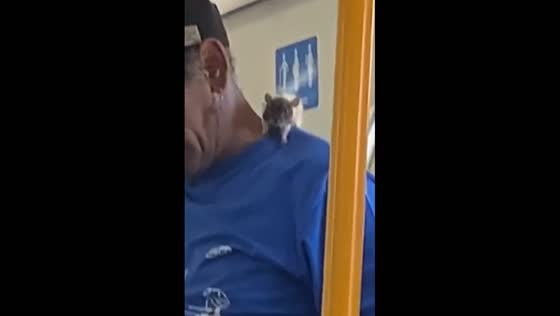 Rat perched on person's shoulder in Buenos Aires train 