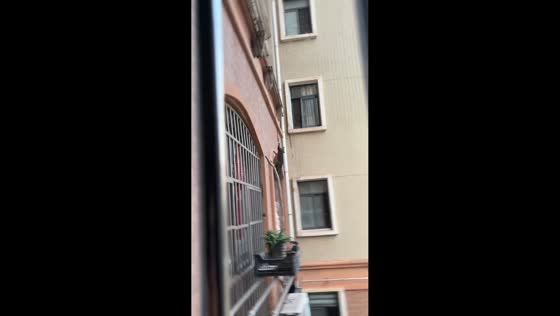 Student rescues cat trapped on third floor of school building in Ganzhou, China
