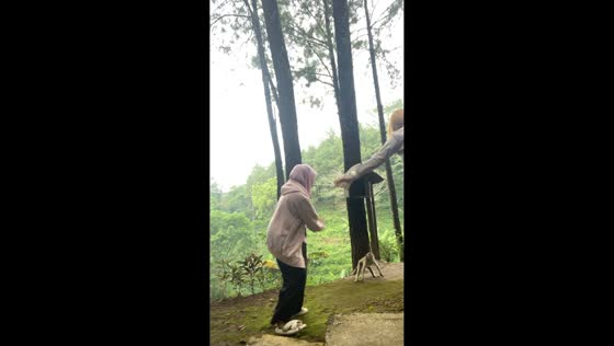 Monkey playfully mimics women dancing in Mojokerto, Indonesia