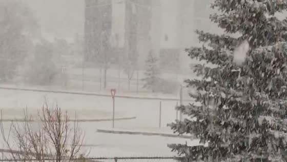 Heavy snowfall with massive snowflakes in Calgary, Alberta, Canada